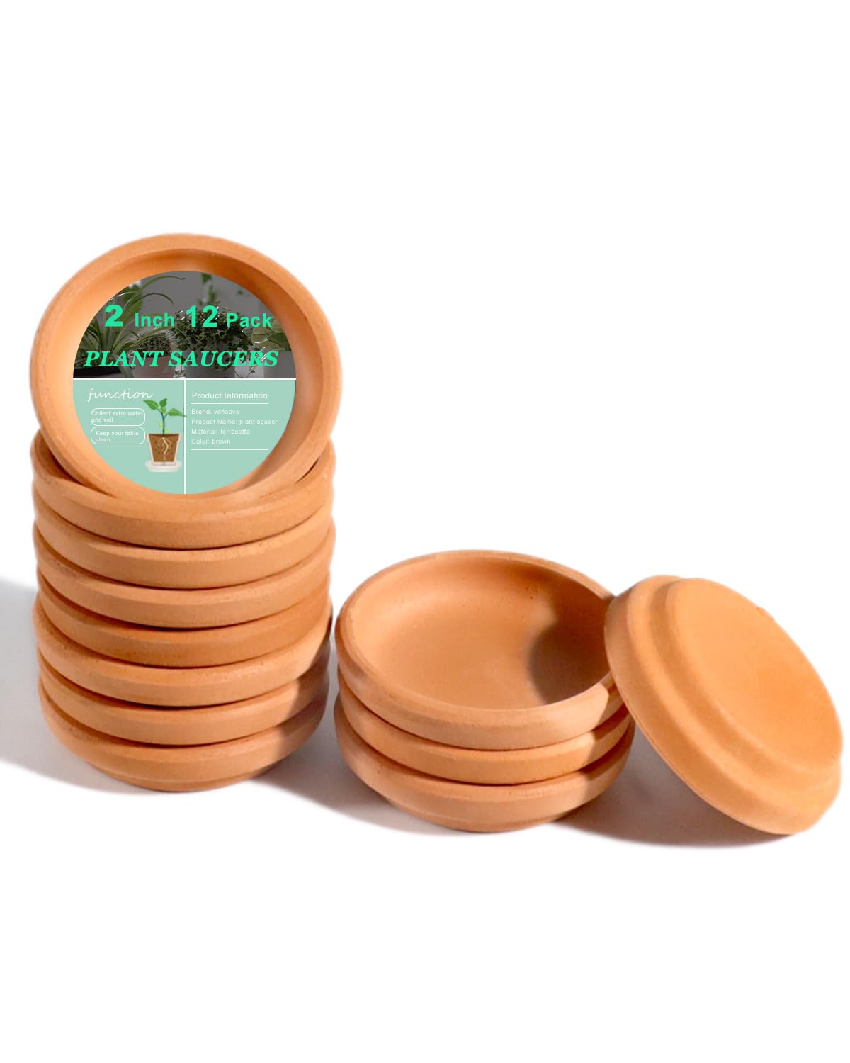 Amazon.com : vensovo 2 Inch Terracotta Plant Saucer Pots Tray - 12